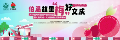 以“梅”为媒，山海共富窗口助推文成杨梅产地与大市场“喜结连理”